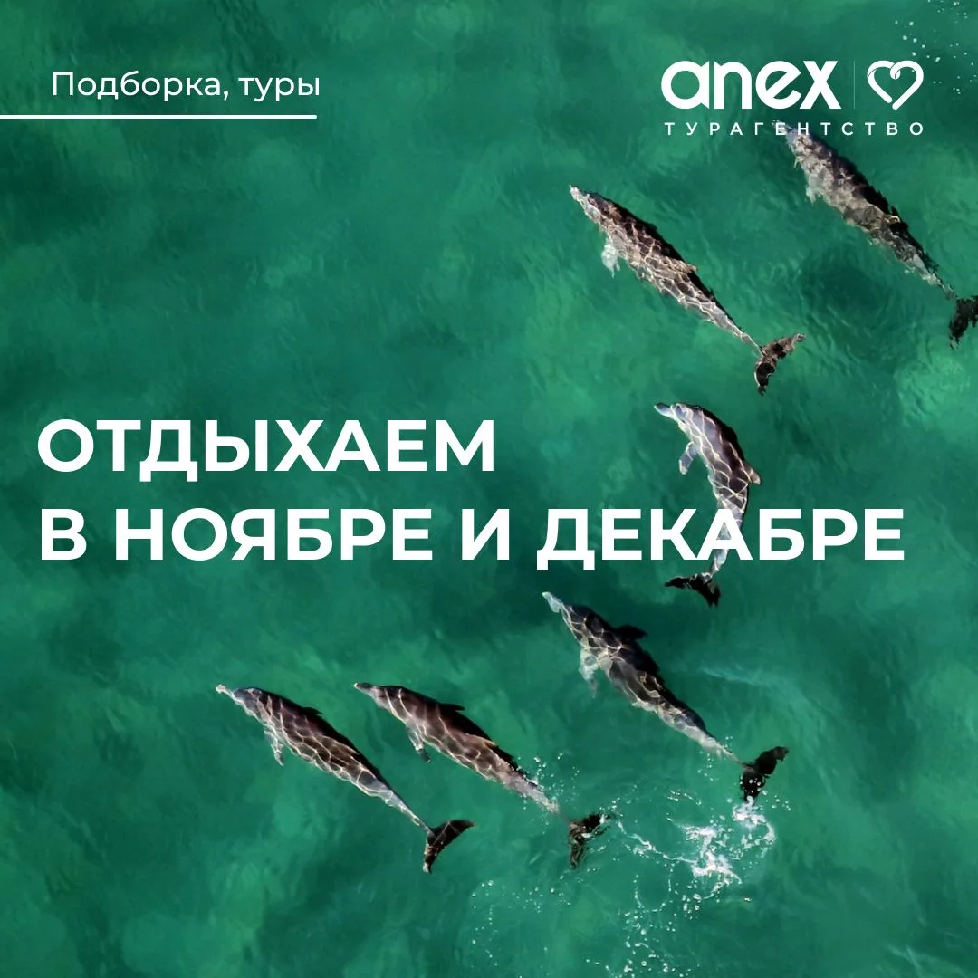 Выгодные туры в ноябре и декабре от 49000 рублей! ⭐️