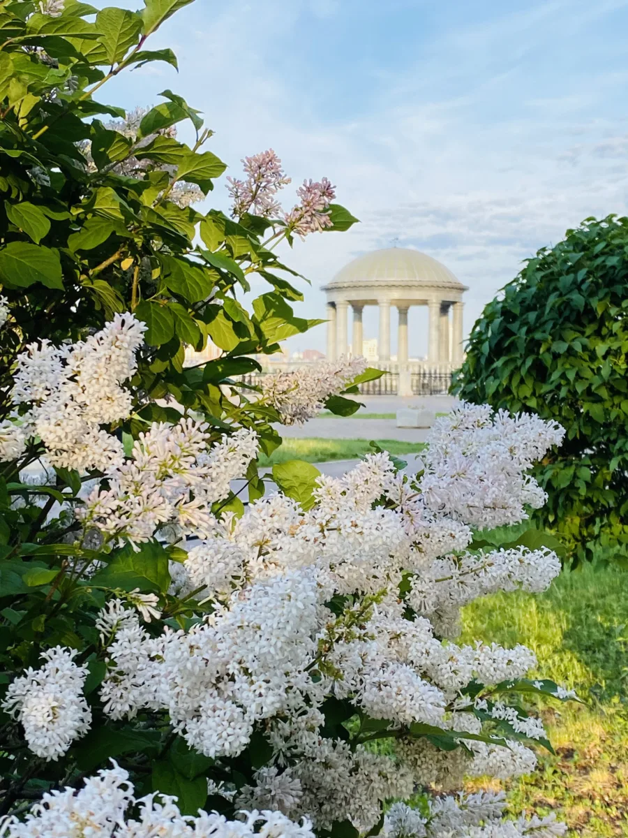 📸 🌺 Фотоконкурс «Приамурье распустилось» ждёт ваши фото! 🫶🏻

▫️Что подходит? Цветущие деревья,