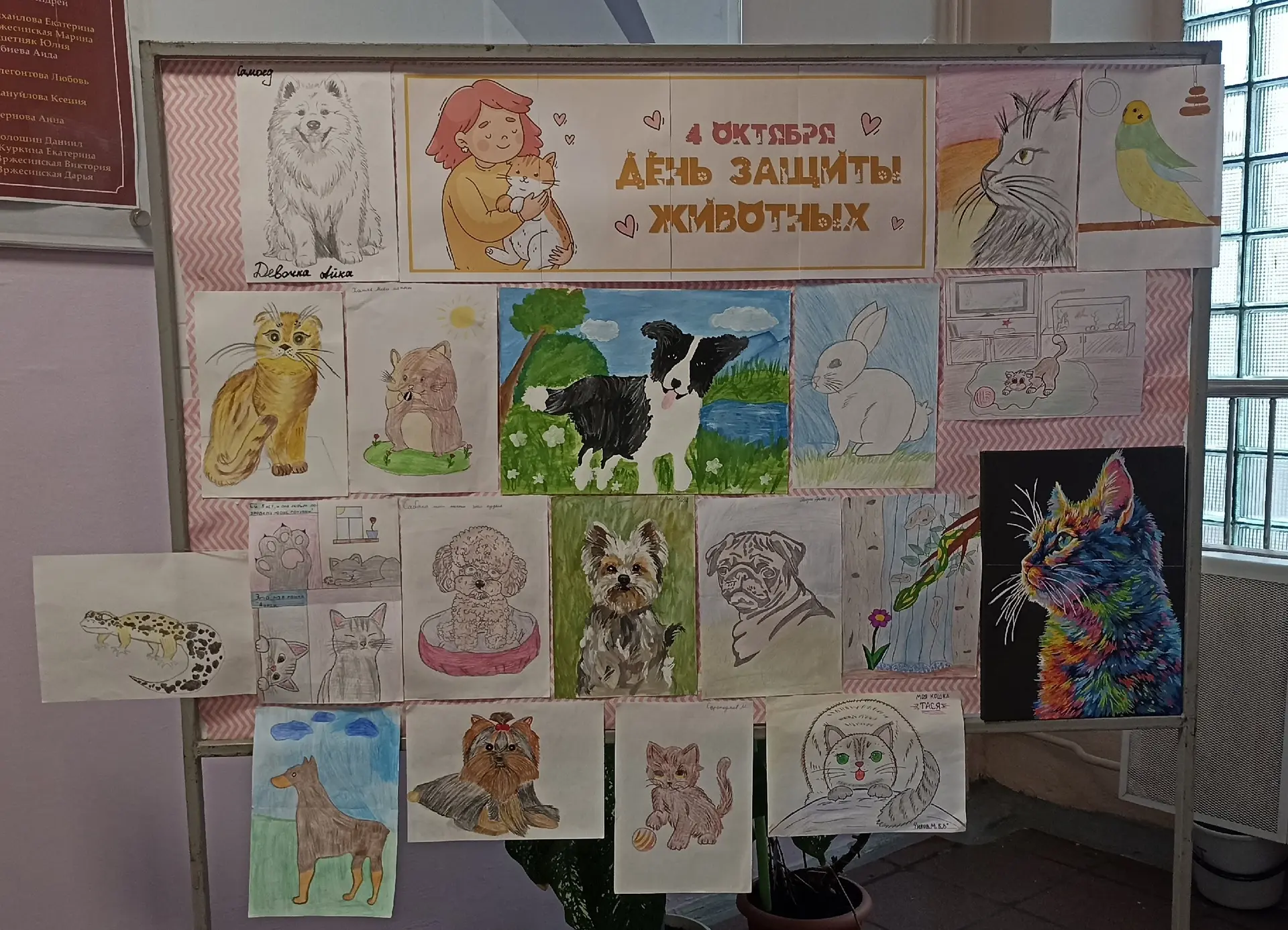 🍀Новости юннатского клуба
