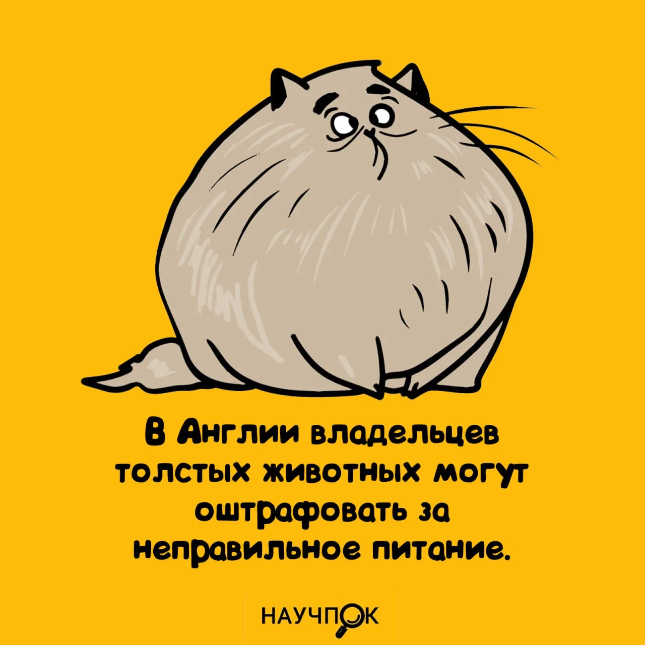Научпок | Подписаться