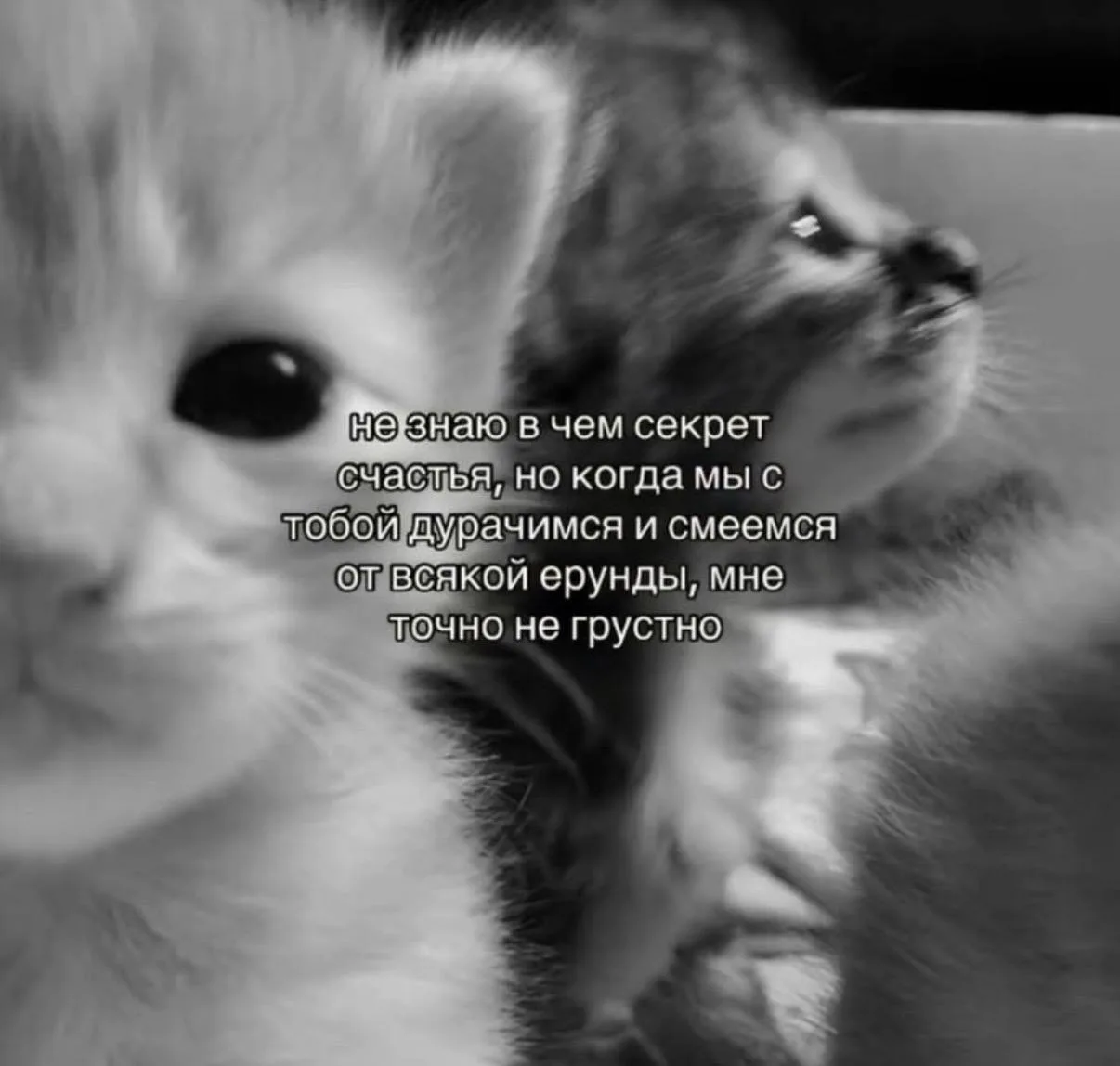 Мы?🥺