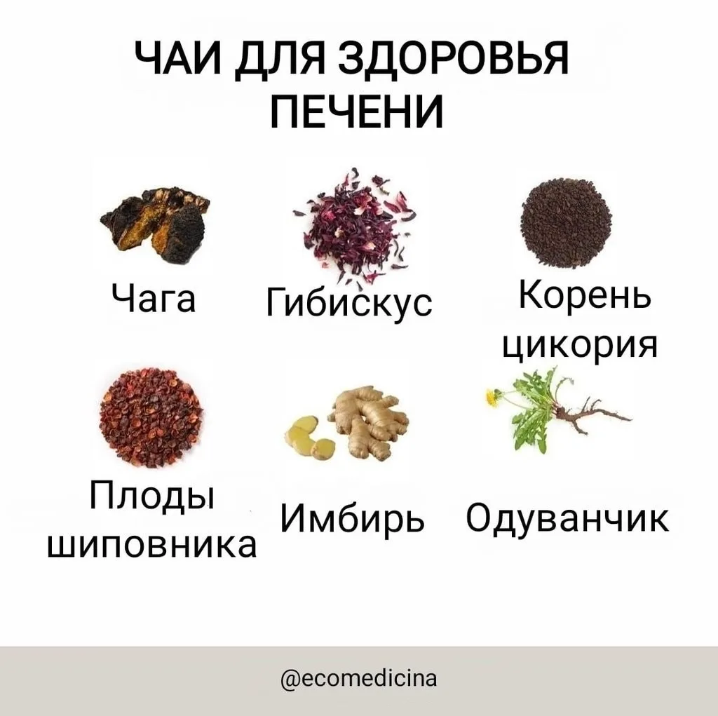 🌿ТРАВЫ ДЛЯ ОЧИЩЕНИЯ ПЕЧЕНИ