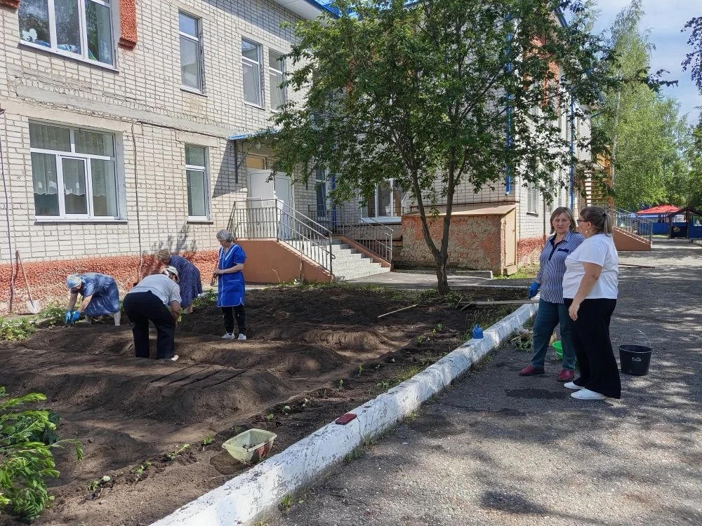 🌱В нашем детском саду огород — дело любимое и полезное. Каждый год он встречает нас чё...