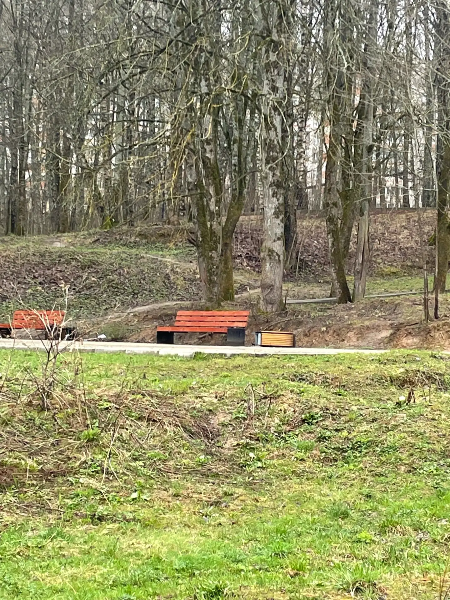 Вандалы разгромили мусорки на Солдатском озере   На Солдатском озере в Смоленске недобросовестные жи