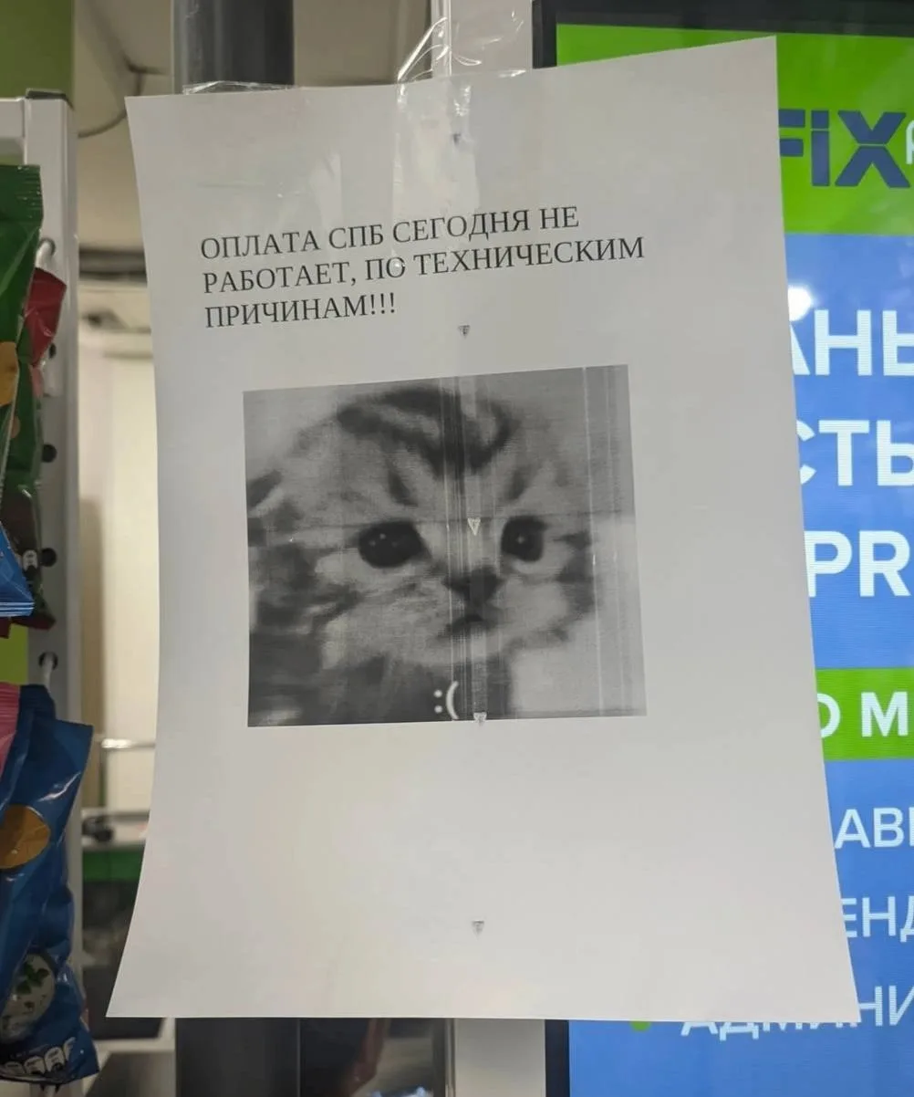 Любой негатив можно скрасить котиком🐈
