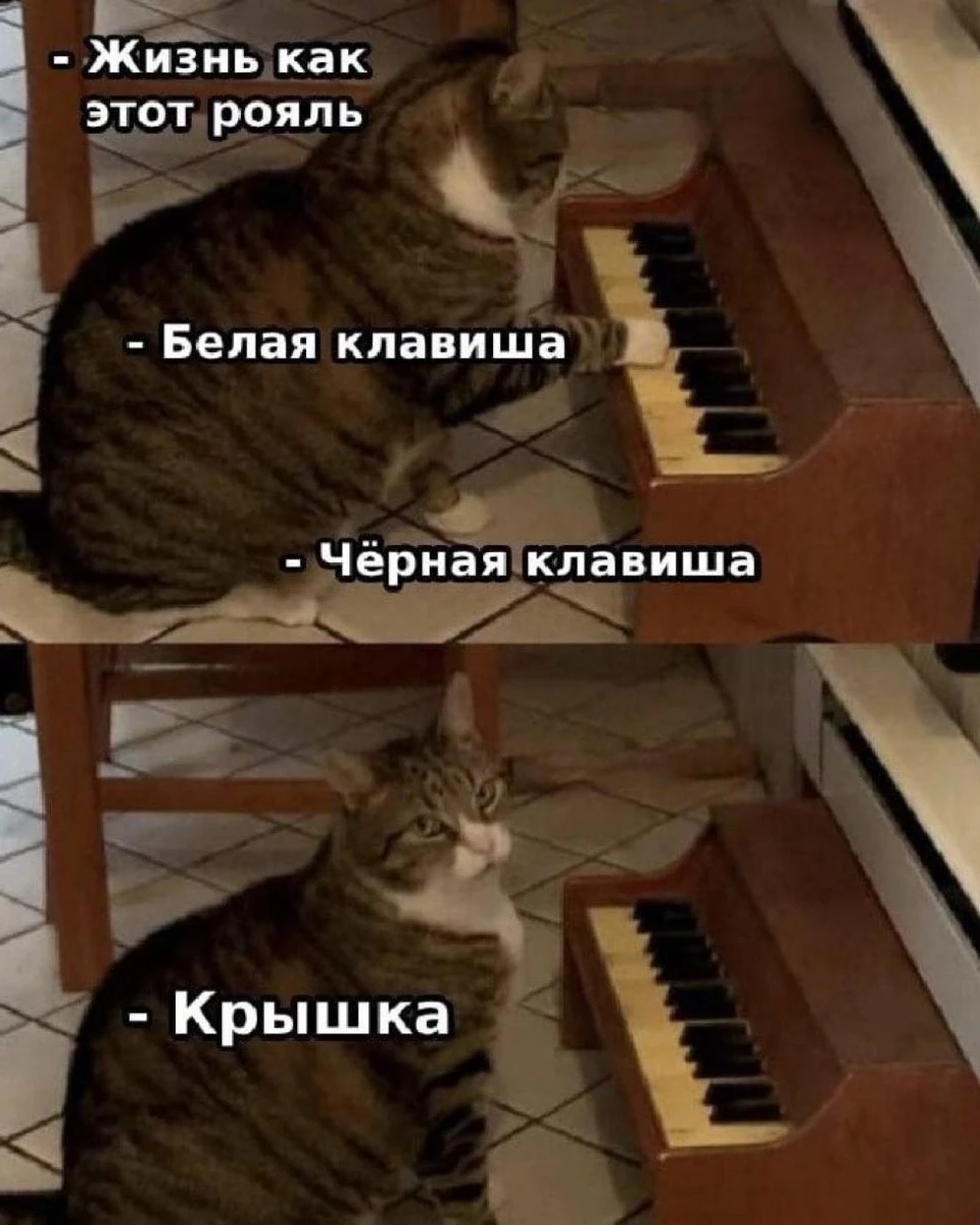 Подпишись на юмор 😂