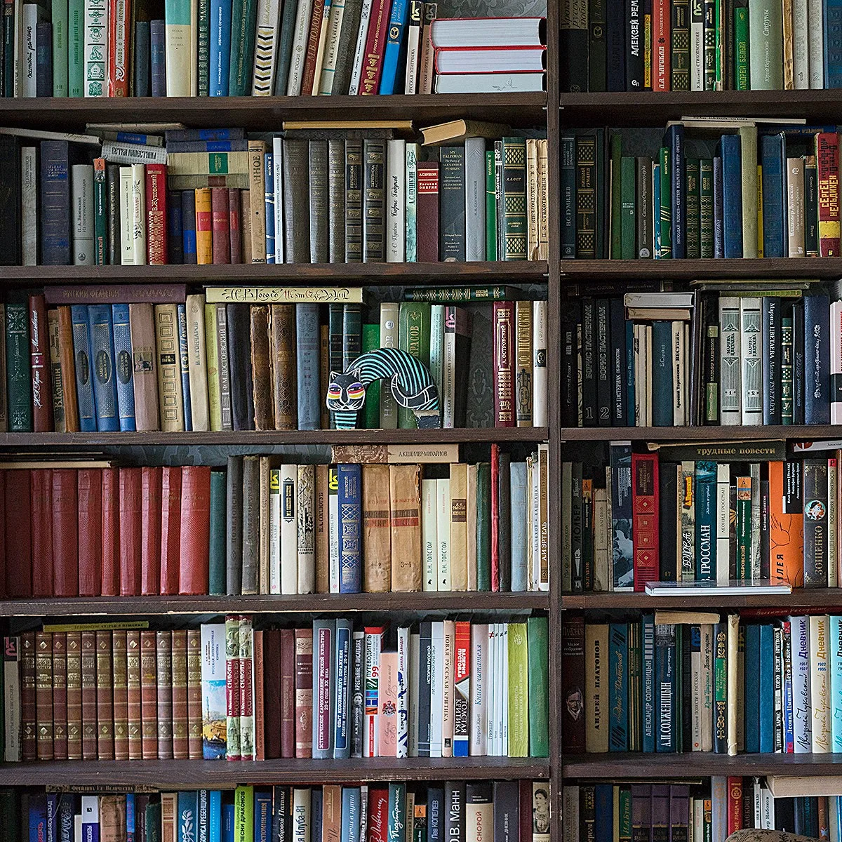 Стоит ли сейчас писать и издавать книги? 📚🤔