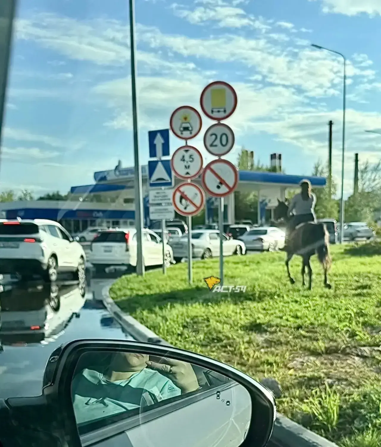 🐴 Новосибирцы начали понемногу приспосабливаться к пробкам на автозаправках и использо...