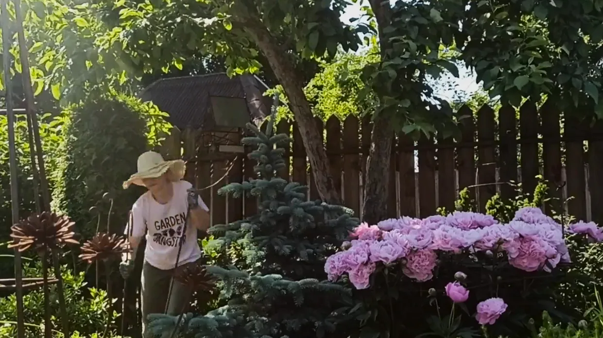 Вышло свежее видео про наш садик. Посмотреть можно в ВК https://vk.com/qgarden?w=wall-194330700_6059