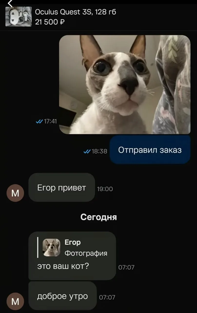 😊 Зафиксирован акт максимальной милоты: покупатель и продавец вместо обсуждения заказа устроили обм