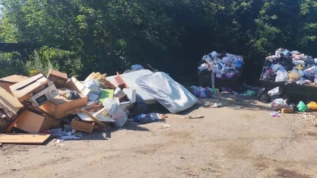 ПОКА «ЭКО-ПРОНСК» ИЩЕТ ОПРАВДАНИЯ, В ПОДВЯЗЬЕ РАСТУТ ГОРЫ МУСОРА

В селе Подвязье контейнерные площа