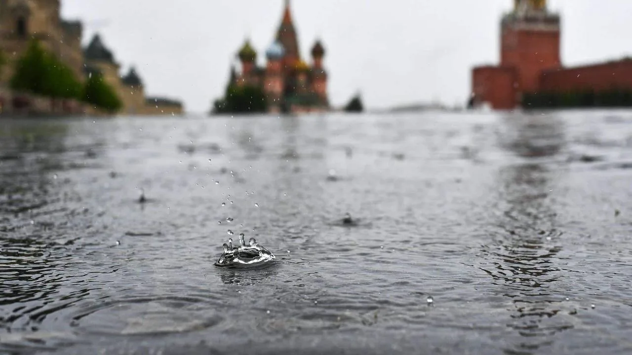 🍂Осень придёт в Москву уже с 24 августа, — синоптики.