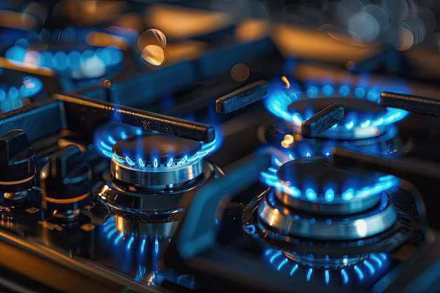 🎛️Напоминаем о правилах предосторожности при использовании газа в быту:

➡️ Ежегодная проверка газо