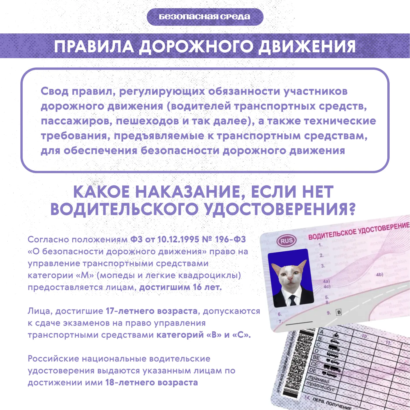 ❗️В рубрике «Безопасная среда» продолжаем говорить о правилах дорожного движения и ответственности в