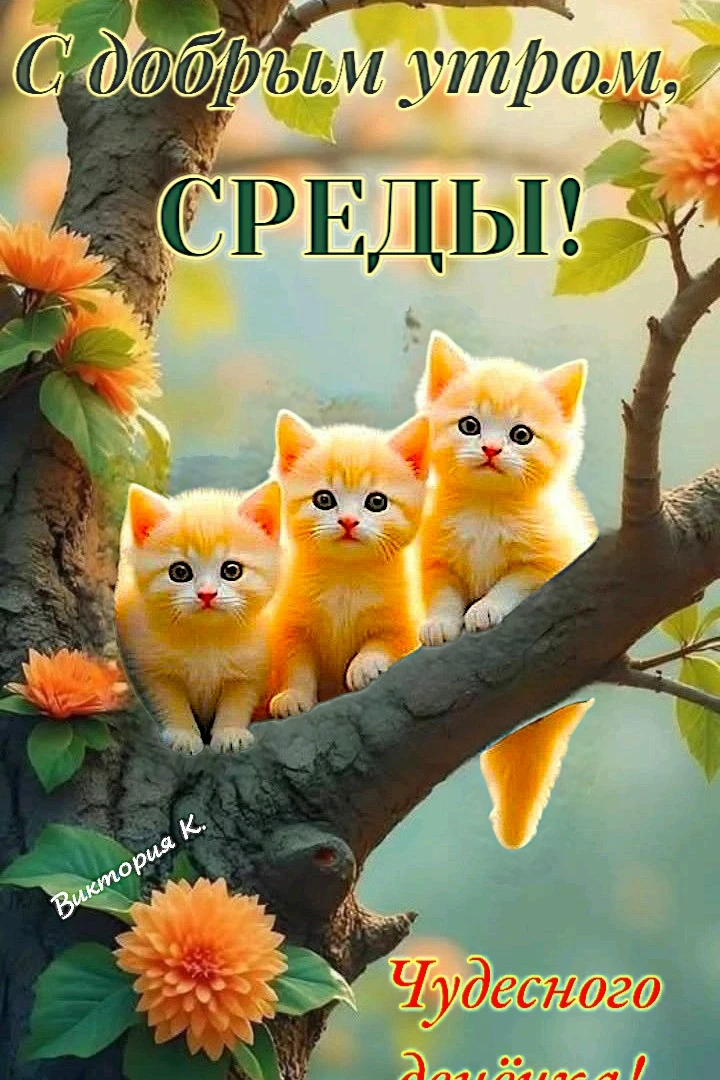 С добрым утром среды!

-