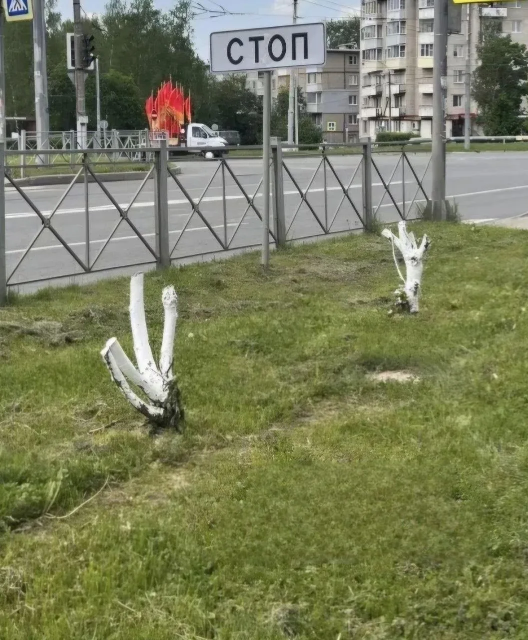 Жители города Владимира пребывают в недоумении от неожиданного городского благоустройства — побеленн
