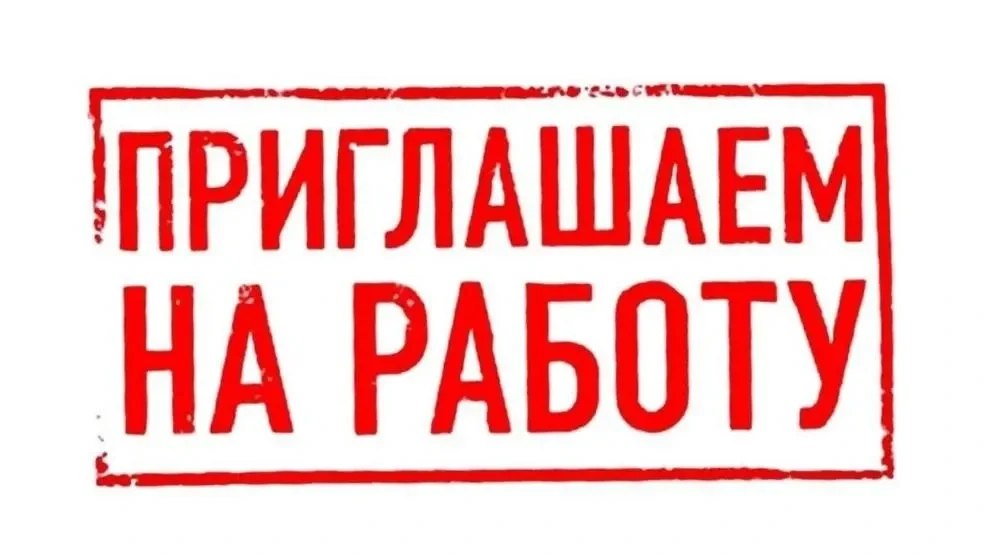 Администрация Камешковского муниципального округа Владимирской области приглашает на работу:

📌Нача