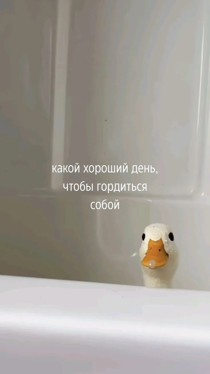 Доброго утра и хорошего начала недели ✨