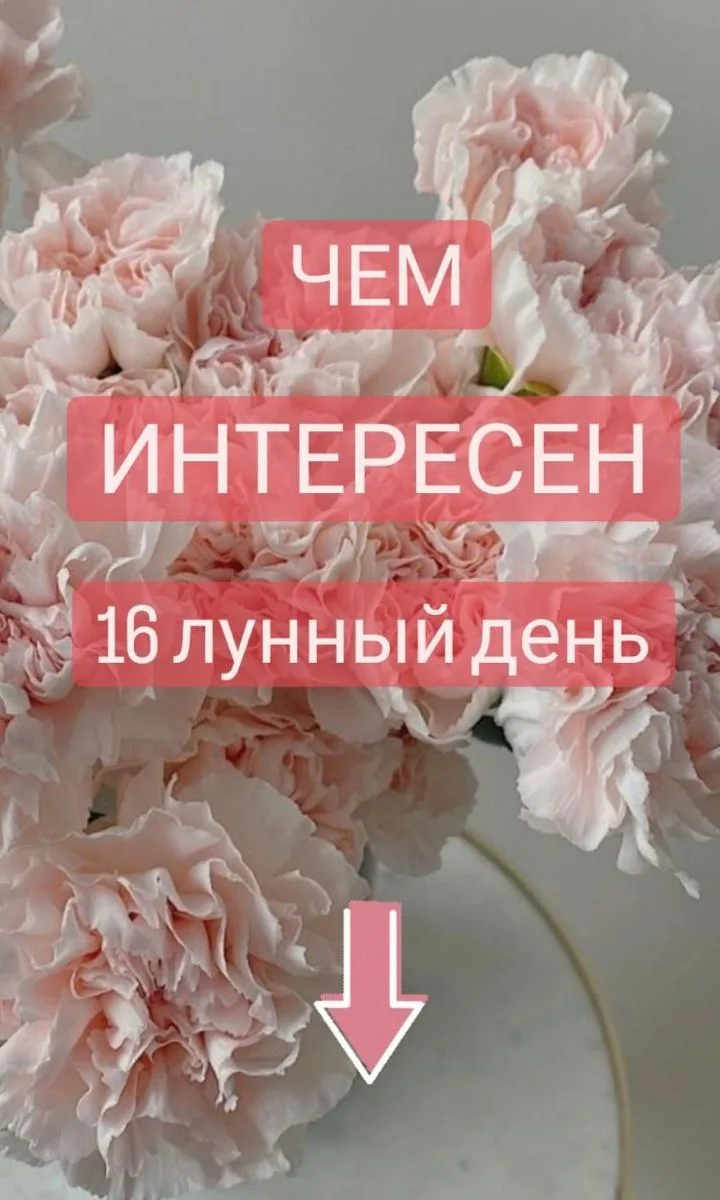 16 лунный день называется "Полет бабочки".🦋