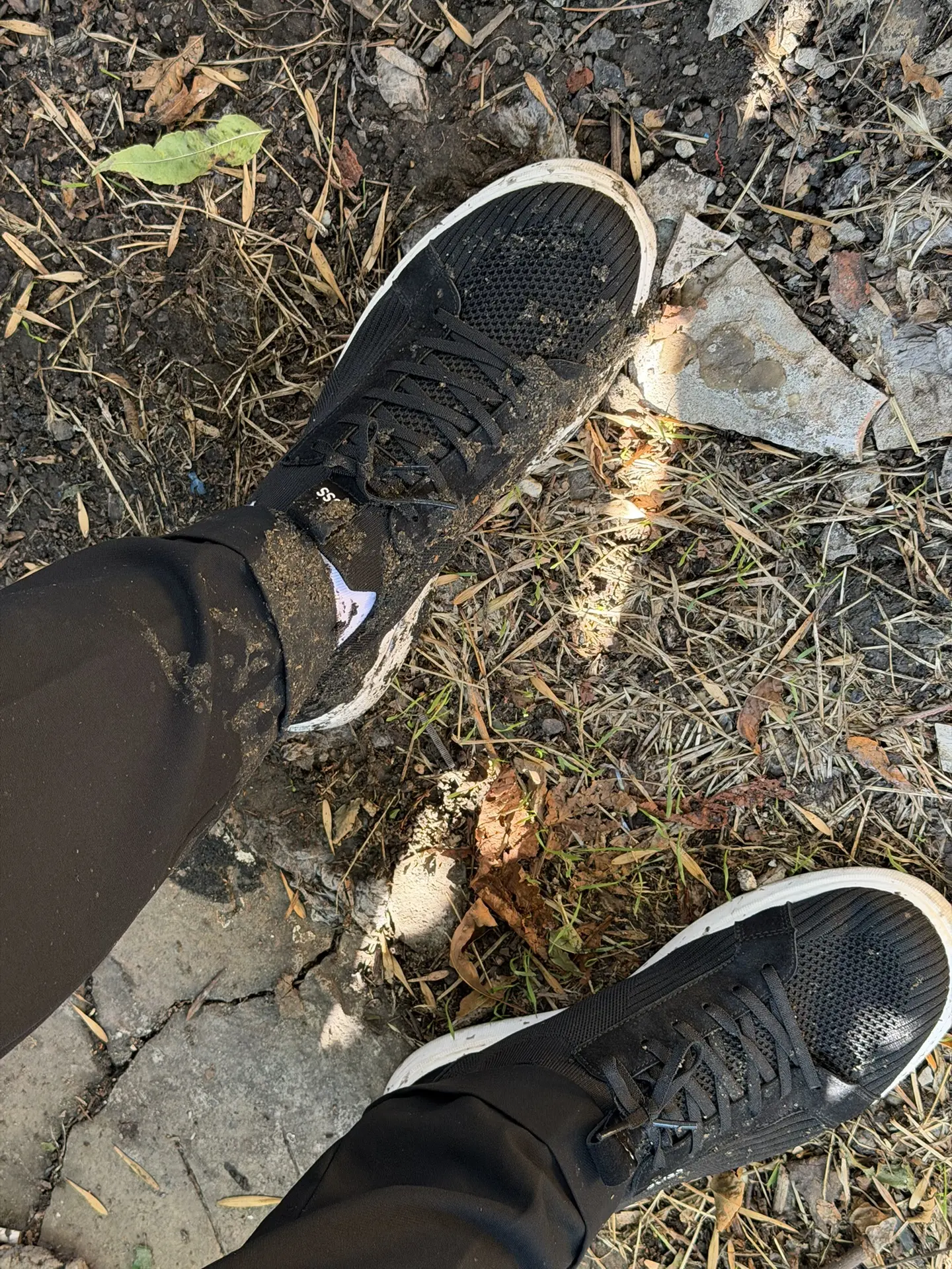 Поскользнулся и тоже теперь в чьих-то какашках 💩