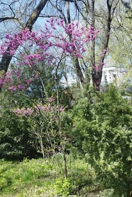Доброе утро, подписчики!☀️

Новая неделя – новый старт! Сегодня в кубанской столице воздух прогреетс