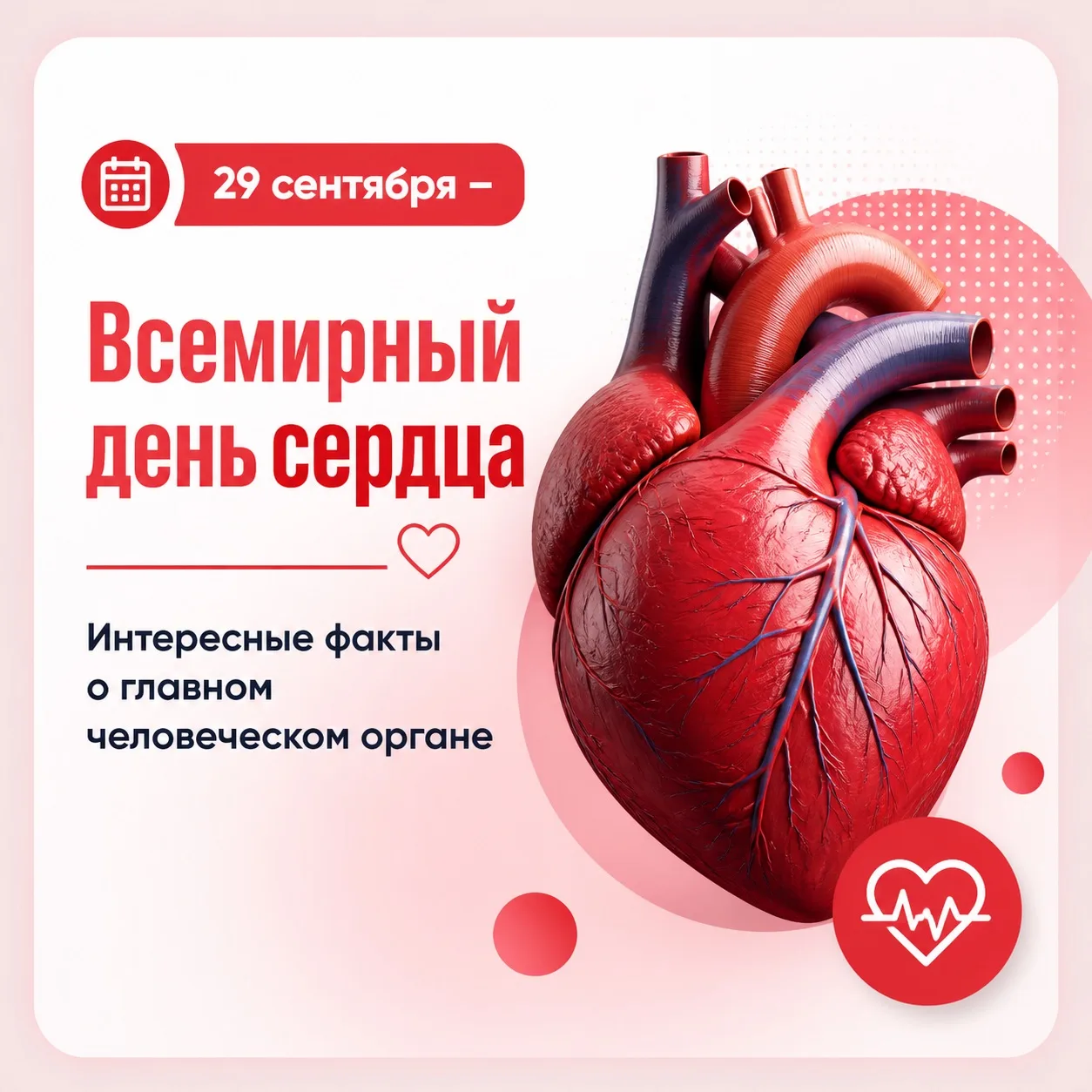 🫀 Здоровое сердце — долгая жизнь