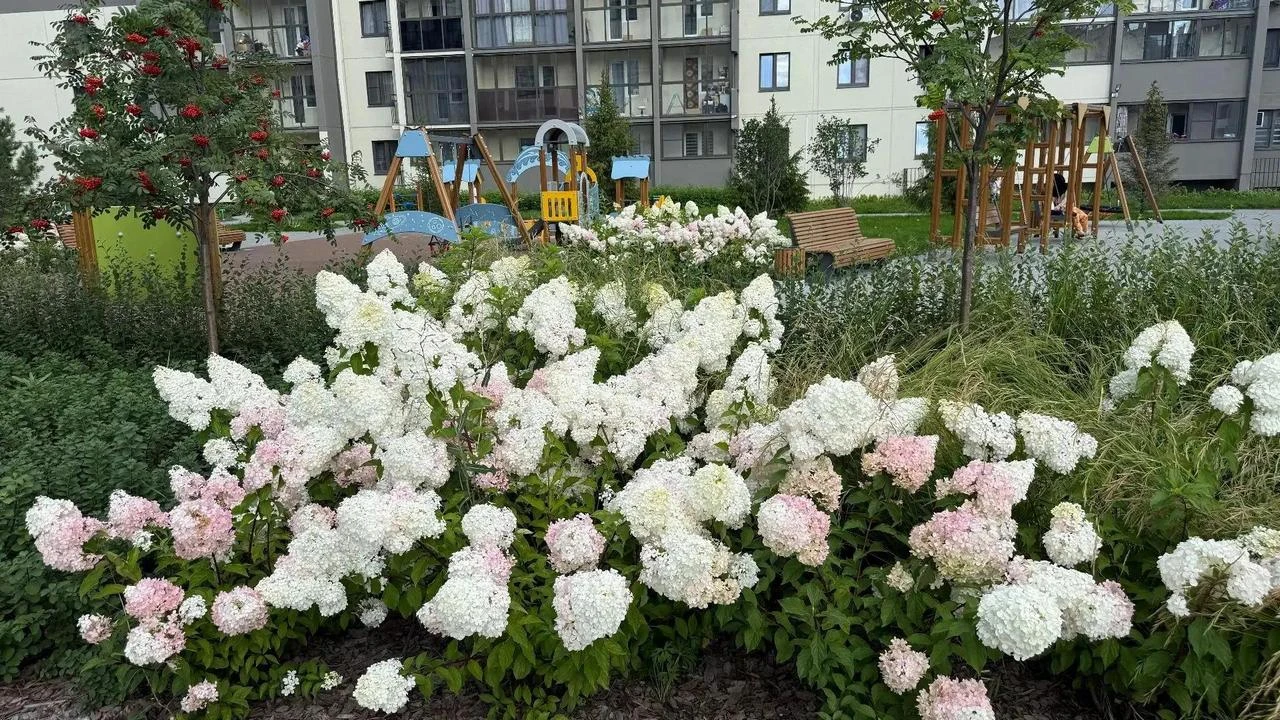 Самые благоустроенные и уютные дворы назвали в Челябинске