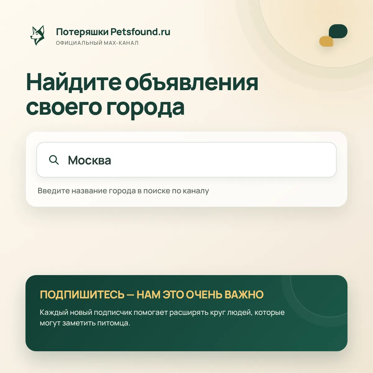 🐾 Как найти объявления своего города