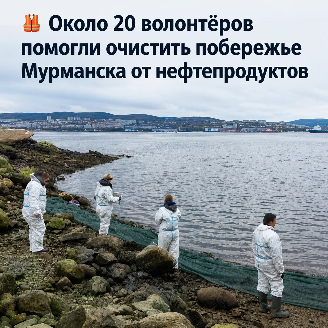 🦺 Около 20 волонтёров помогли очистить побережье Мурманска от нефтепродуктов