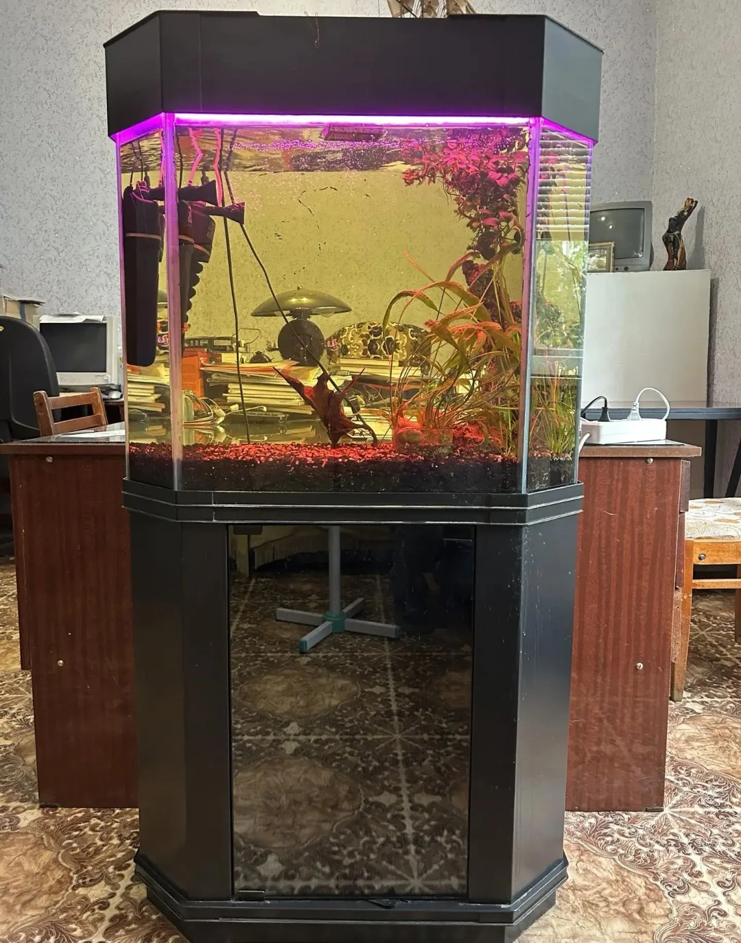 Продам аквариум. Цена 5000 руб.

https://vk.ru/id151531882