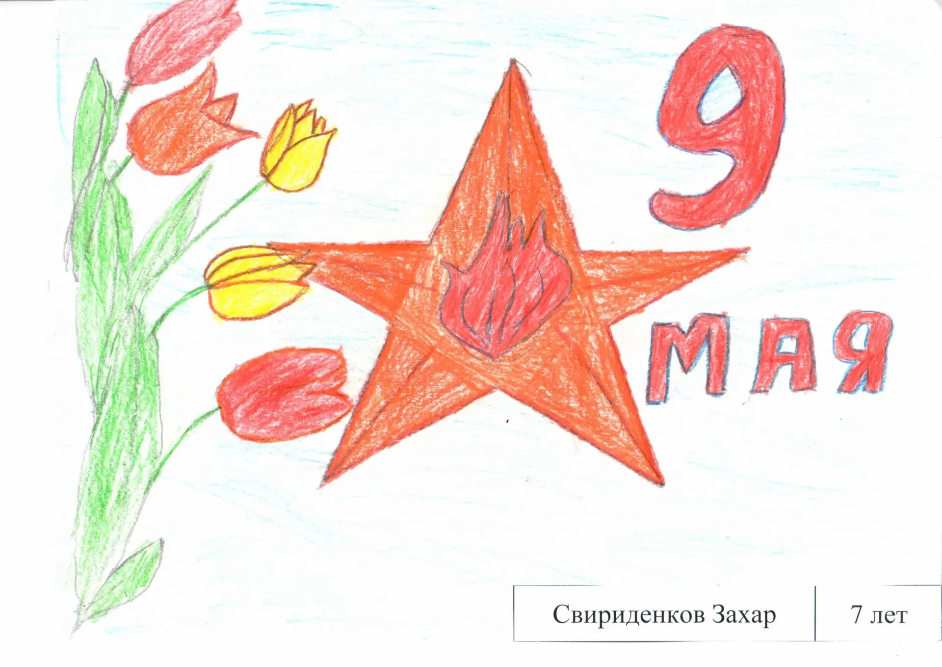 Возрастная категория от 7 лет до 11 лет