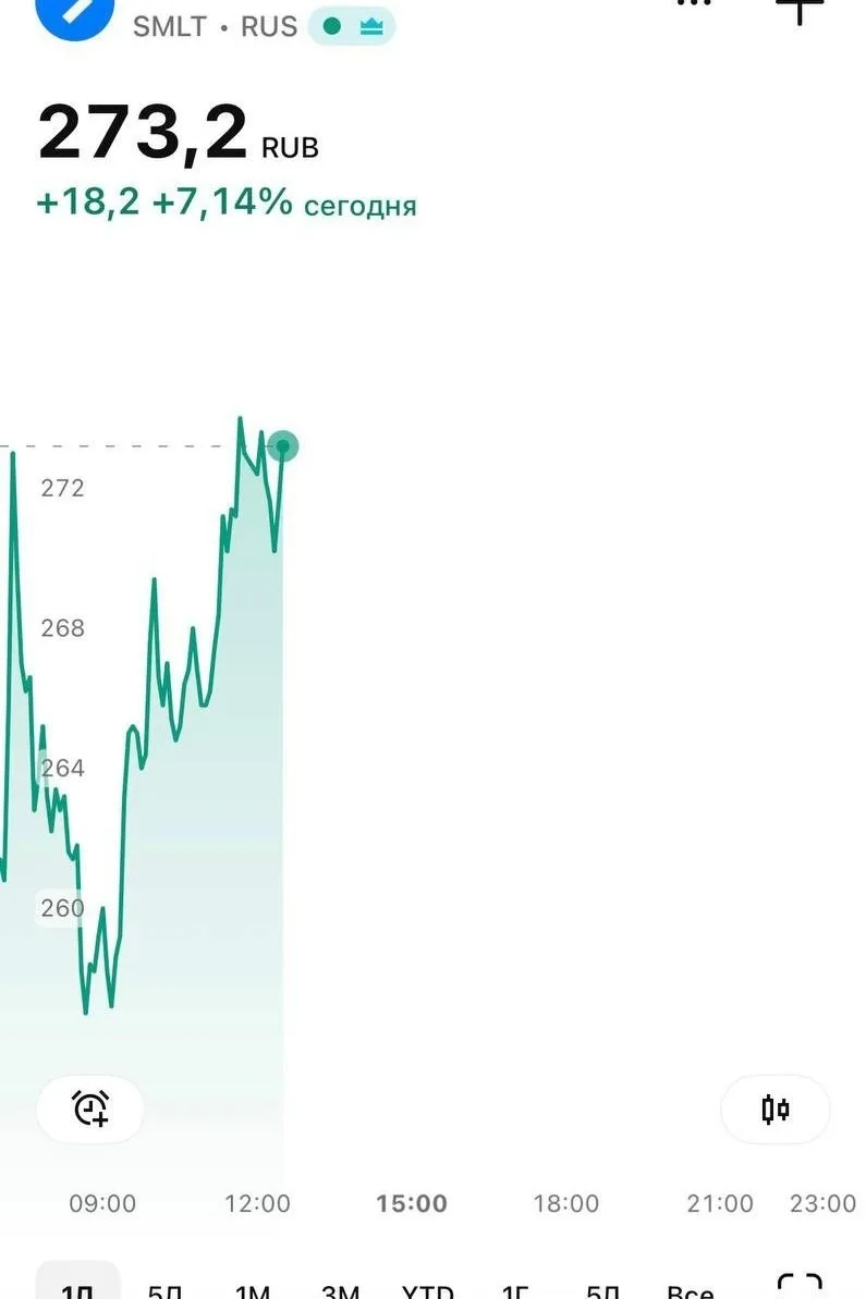 Самолет резко взлетел на 7% после 10 дней падения. Тогда крупнейший застройщик России п...