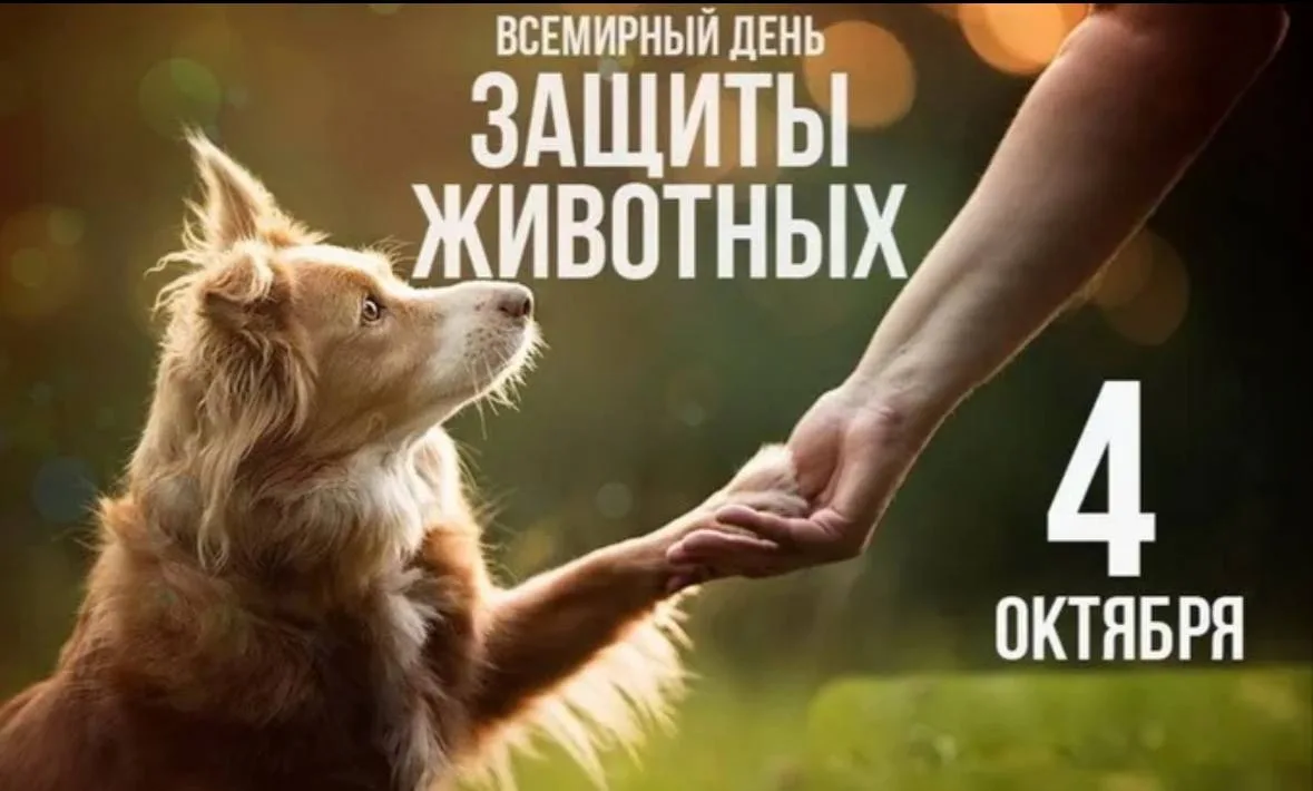 Сегодня отмечается Всемирный день животных