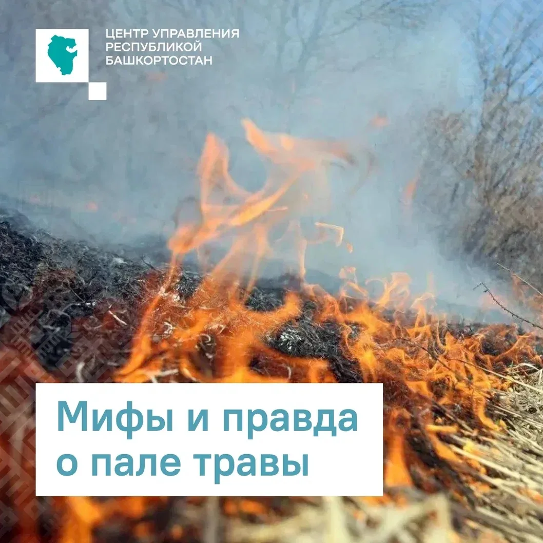 Жечь траву – опасно
