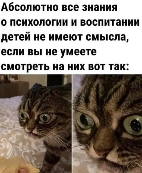 Умеете? Точно? У мамы научились?:)