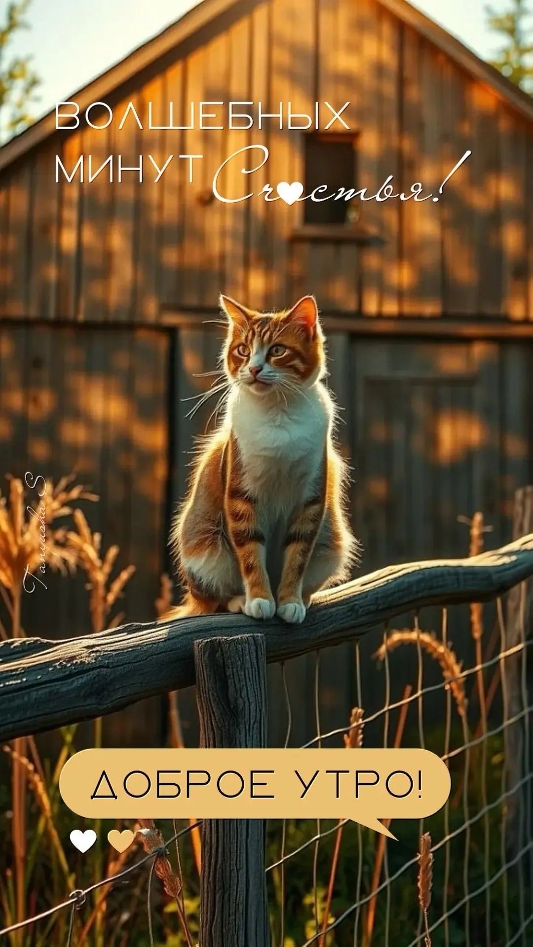 #утро