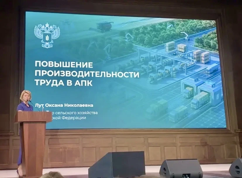 💼 В поиске эффективных решений