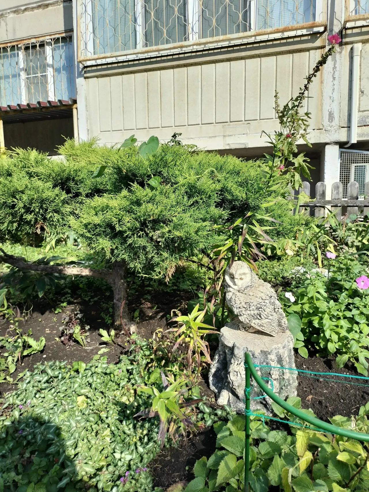 Зеленый уголок во дворе на Егорова в Куйбышевском районе❤