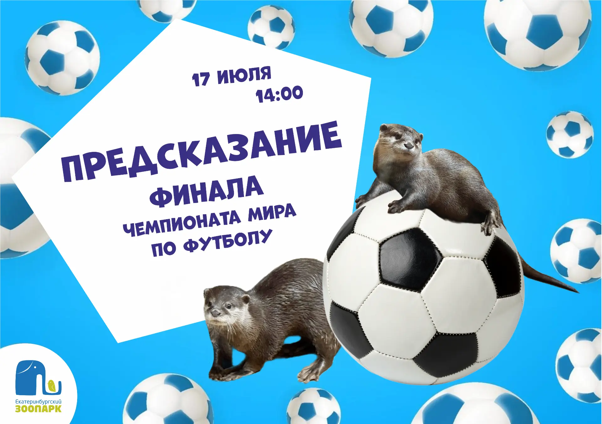 Кто возьмет главный футбольный кубок года? Предскажут выдры! ⚽

Футбольные фанаты, общий сбор! Пока 