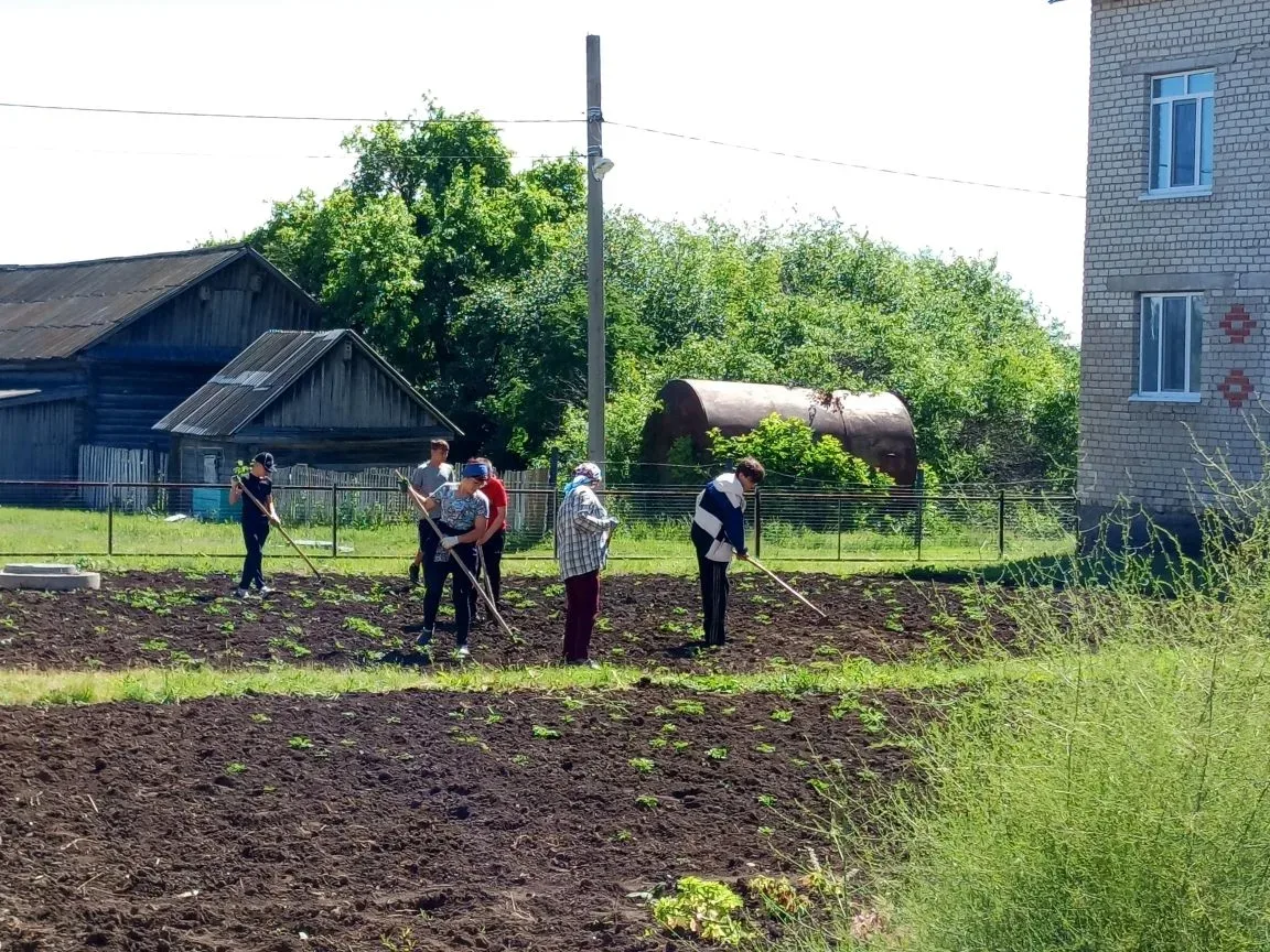 Трудовой десант: как наши ребята в лагере помогают природе и учатся работать на совесть