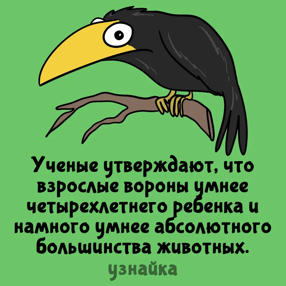 Они меня пугают😶
Узнайка