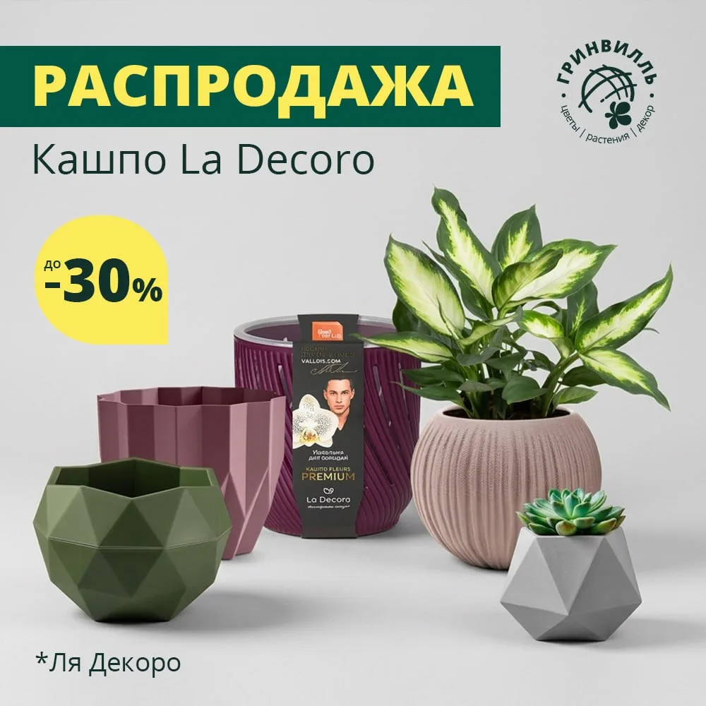 🌿 РАСПРОДАЖА КАШПО ЛЯ ДЕКОРО: СКИДКИ ДО 30%