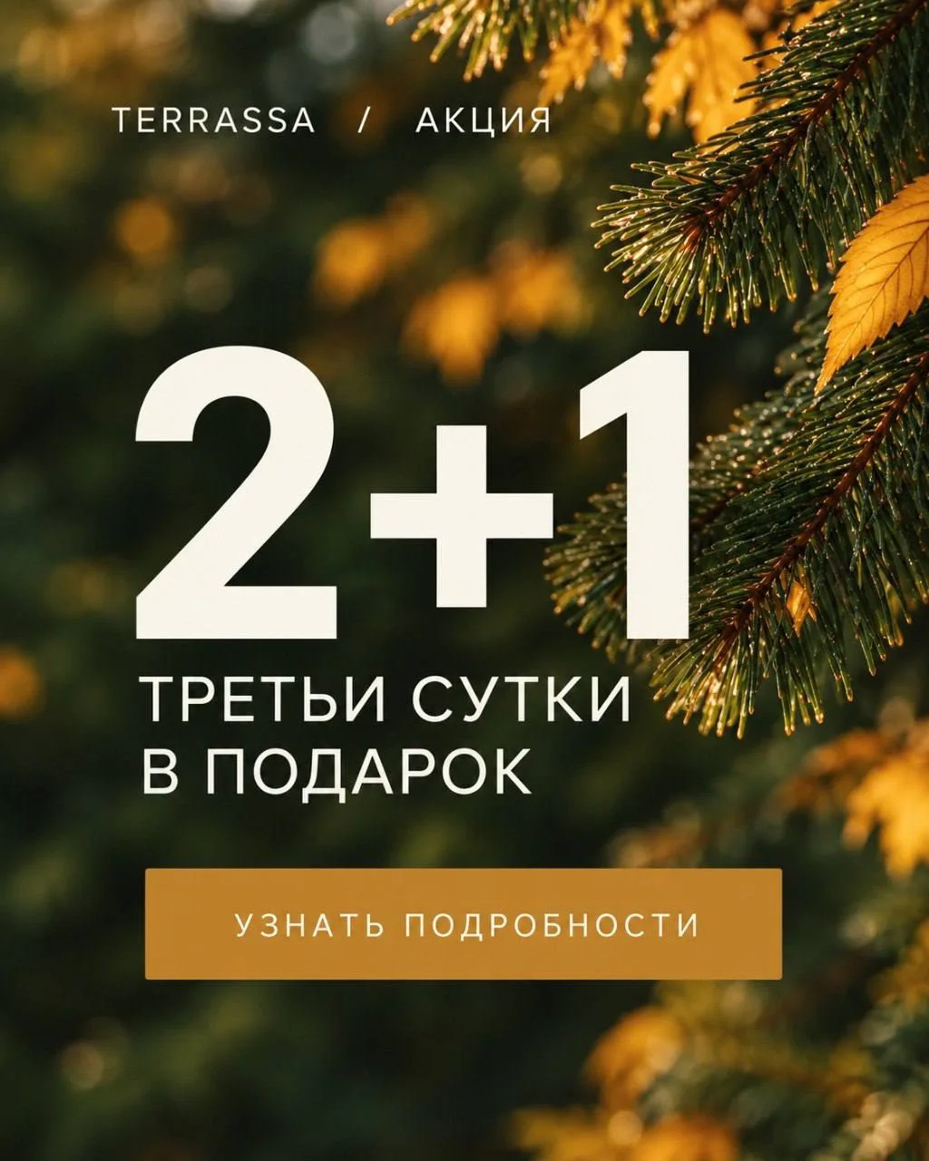 2 + 1 = ТРЕТЬИ СУТКИ В ПОДАРОК