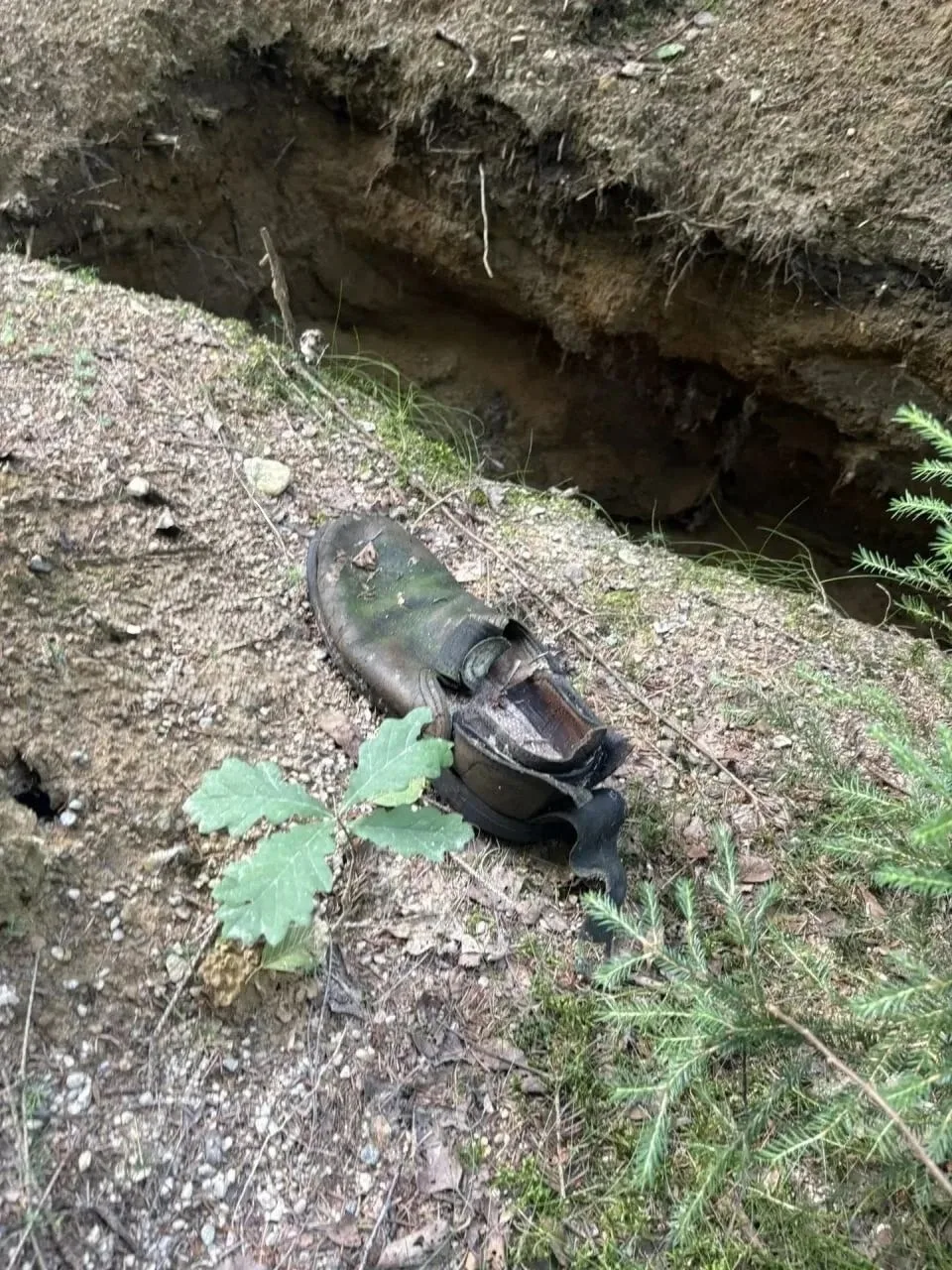 🍄 Шли по грибницу — нашли гробницу
