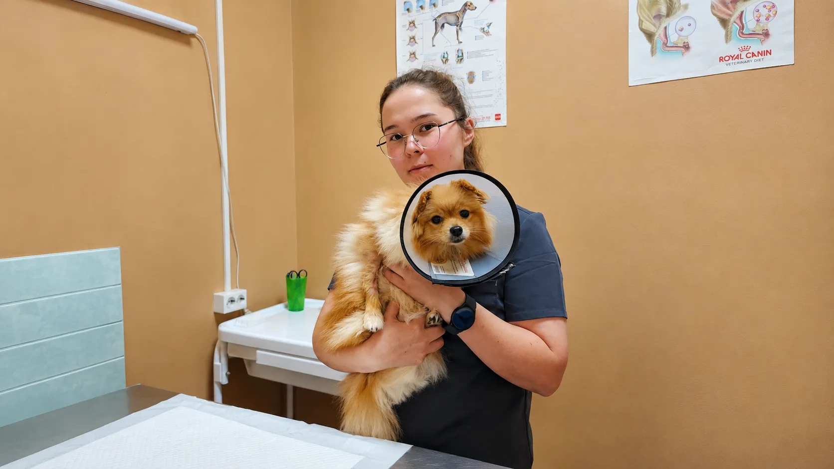 🐾 В День ветеринарного работника — история о первом рабочем месте по профессии