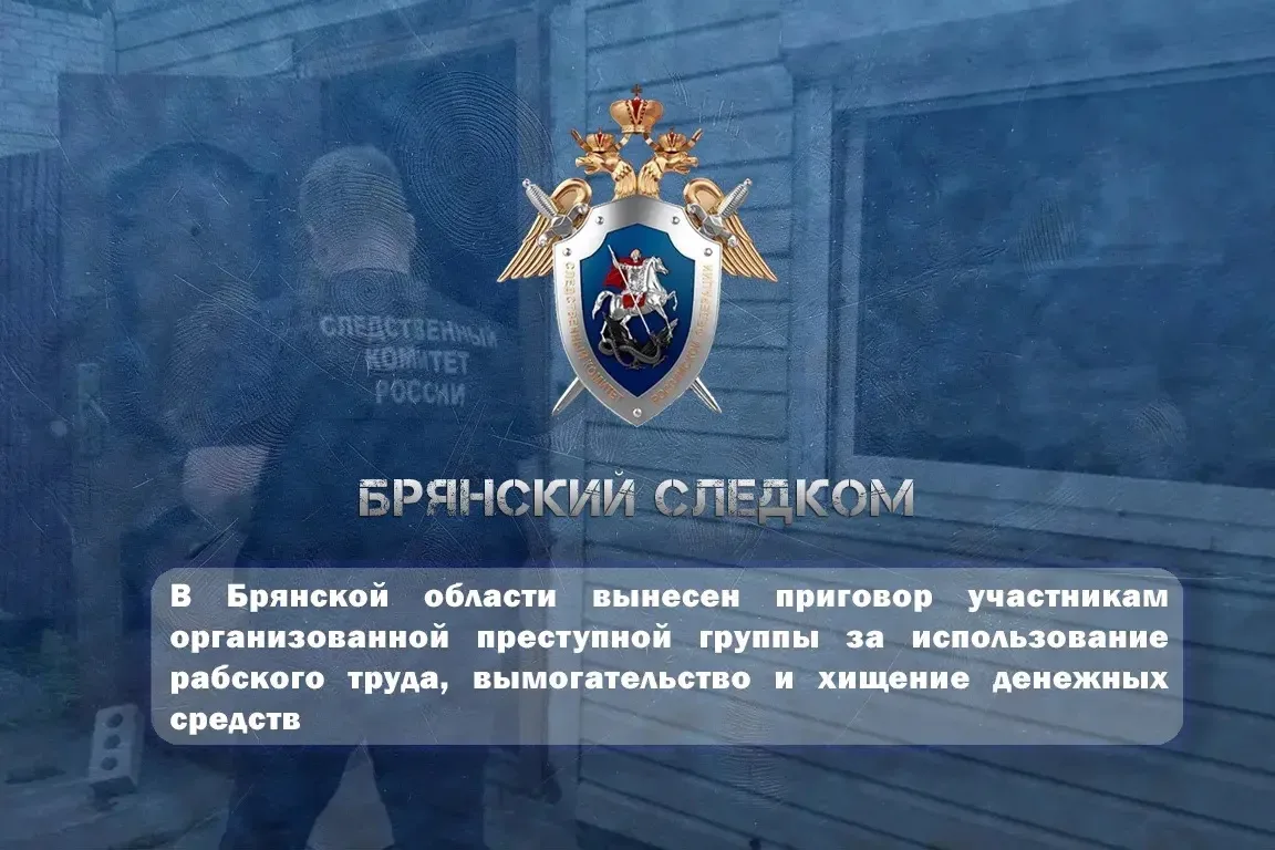 В Брянской области вынесен приговор участникам организованной преступной группы за испо...