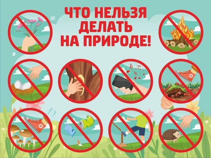🌿 Памятка для родителей: Правила поведения на природе с детьми
Кратко и по делу — то, что нужно рас