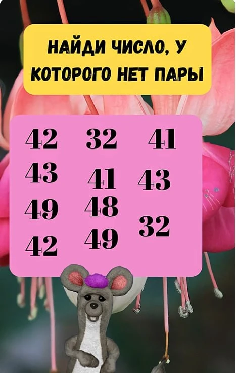 Нашли число без пары?