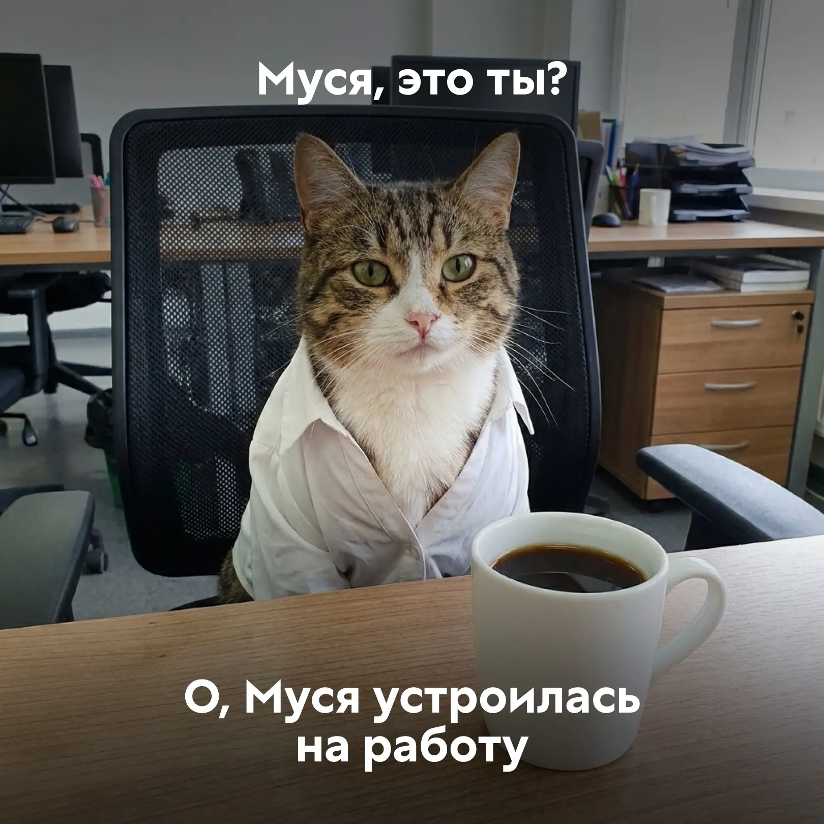 Помогите найти Мусю  Потому что мы не успеваем за ней следить! То она участвует в грантовом конкурсе