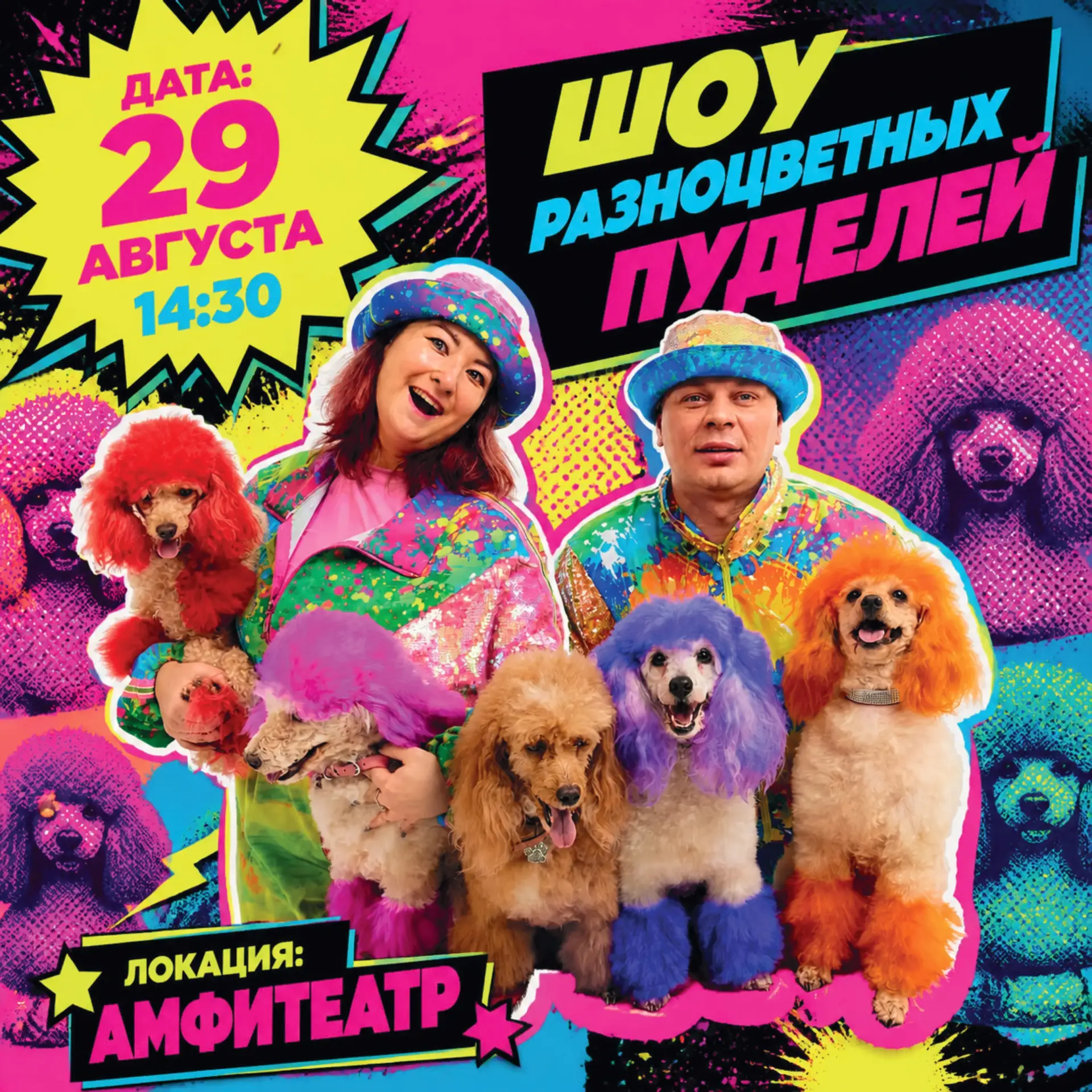 Пудели-суперзвёзды уже на старте 🐩